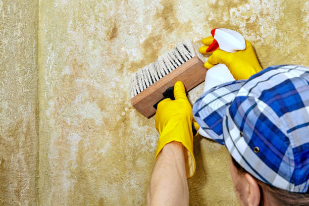 Best Indoor Air Quality Assessment  in Calcutta, OH