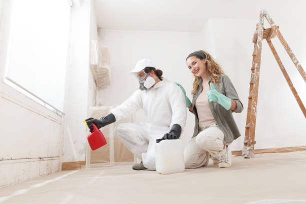 Mold Documentation for Insurance Claims