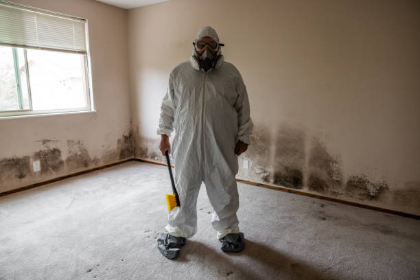Best Residential Mold Inspection & Testing  in Calcutta, OH